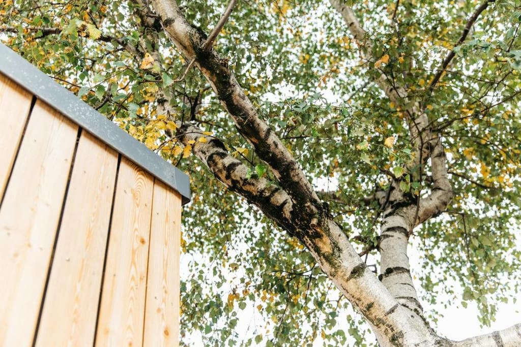 Carmen Eco-Pod / Treehouse, Close To Cabot Circus Bristol Exterior foto